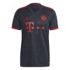 Camiseta de fútbol FC Bayern de Múnich Mane 17 3ª equipación 2022/23